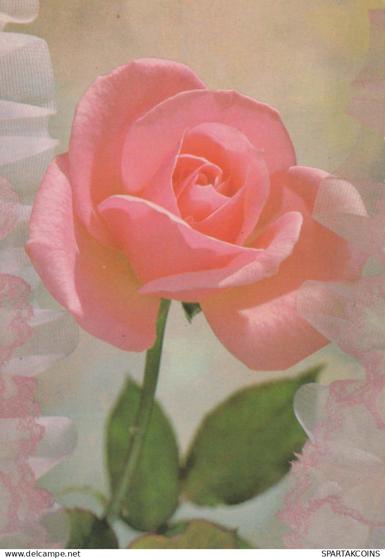FIORI Vintage Cartolina CPSM #PBZ470.IT - Fleurs