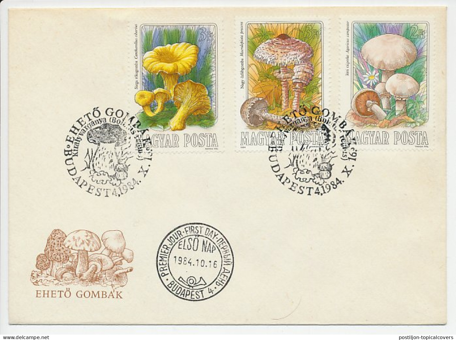 Cover / Postmark Hungary 1984 Mushroom - Champignons
