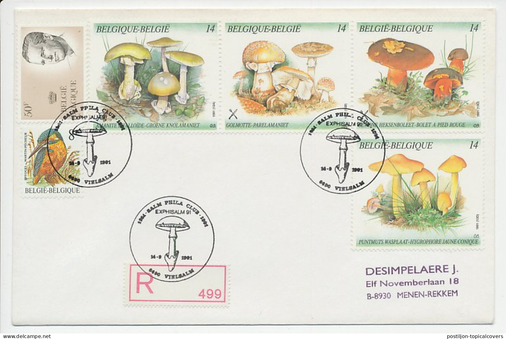 Registered Cover / Postmark Belgium 1991 Mushroom - Hongos