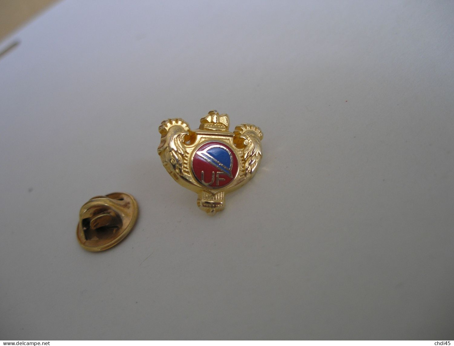 Pin's UF  (ressemble à L'insigne Des Combattants) ARTHUS BERTRAND ? - Militaria