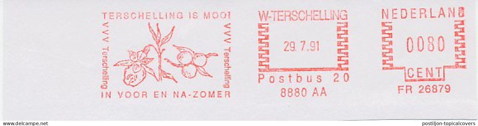 Meter Cut Netherlands 1991 Cranberry - Terschelling - Fruits