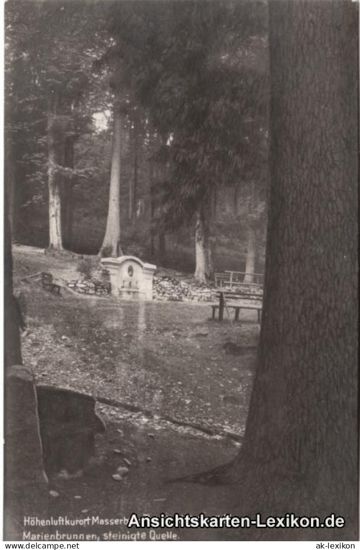 Ansichtskarte Masserberg Marienbrunnen - Steinigte Quelle 1929  - Masserberg