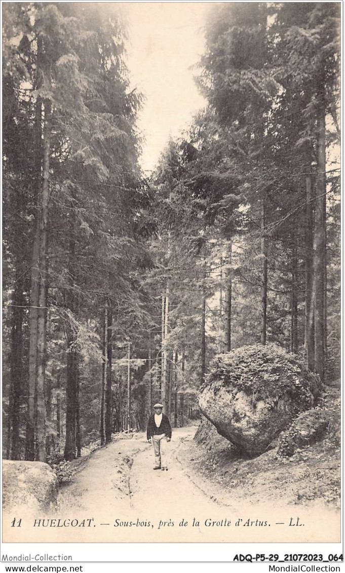 ADQP5-29-0424 - LE HUELGOAT - Sous-bois - Près De La Grotte D'artus - Châteaulin