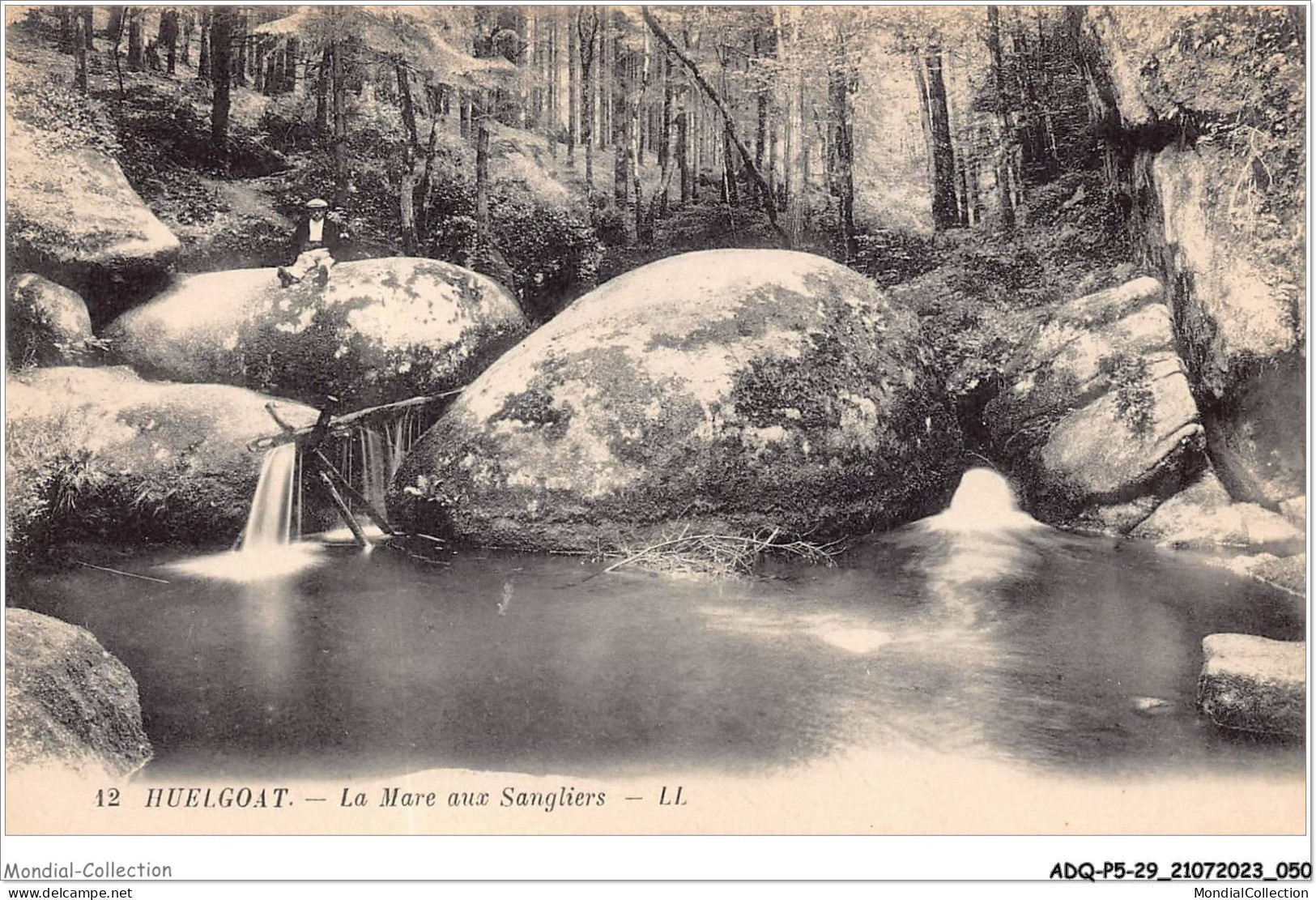 ADQP5-29-0417 - HUELGOAT - La Mare Aux Sangliers - Châteaulin