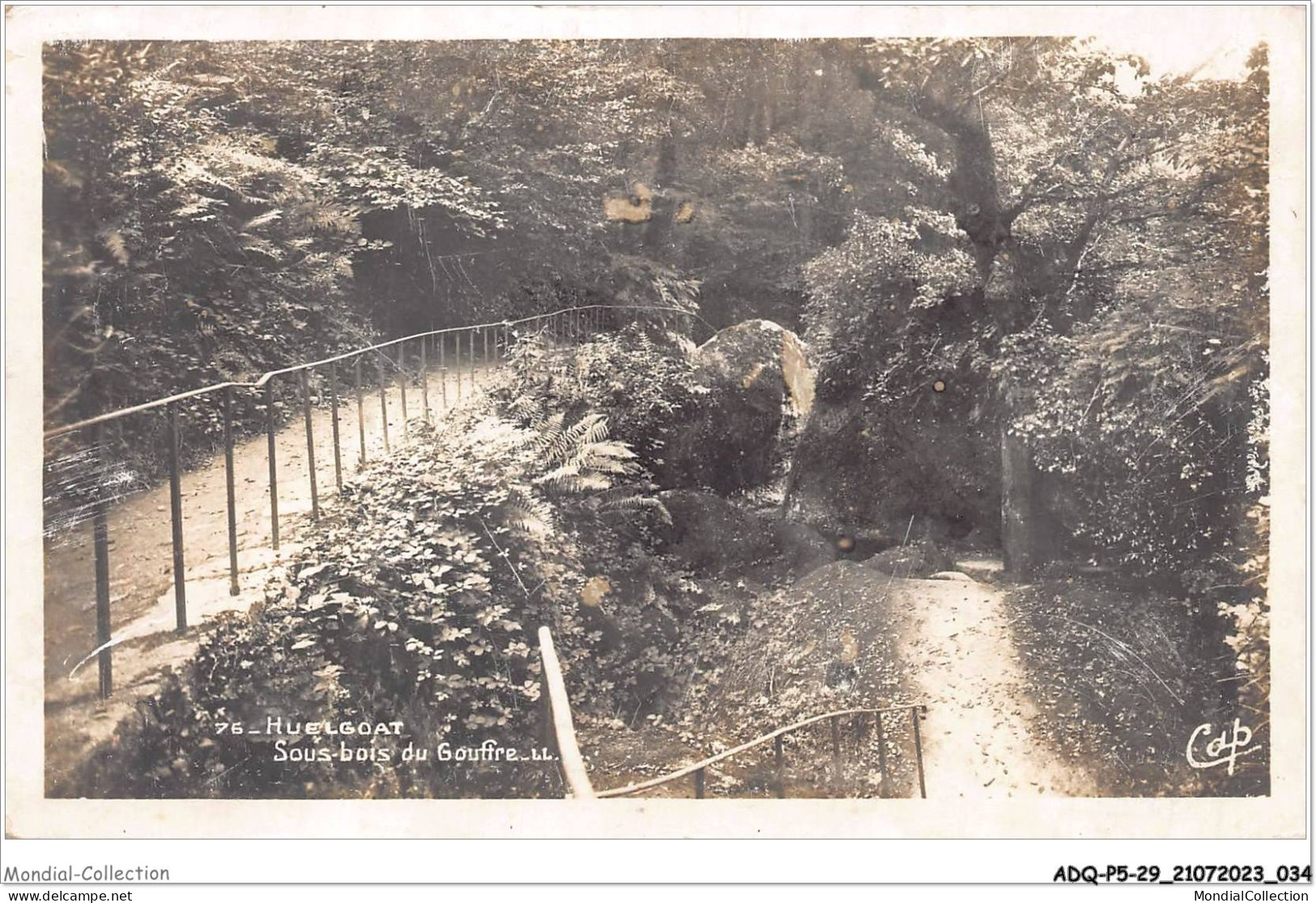 ADQP5-29-0409 - HUELGOAT - Sous-bois Du Gouffre  - Châteaulin