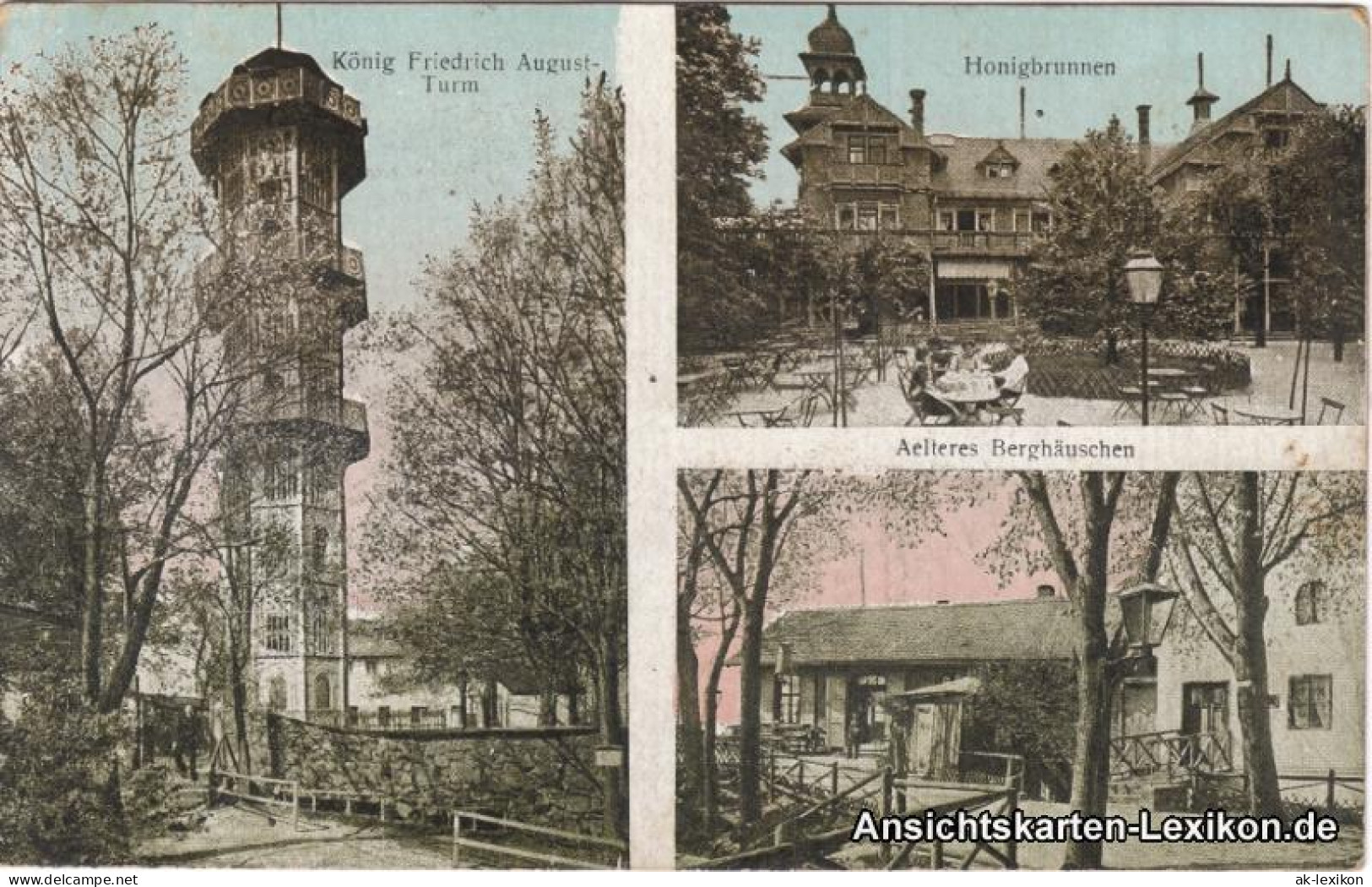 Löbau König-Friedrich-Turm, Honigsbrunnen Und Aelteres Berghäuschen 1918 - Loebau