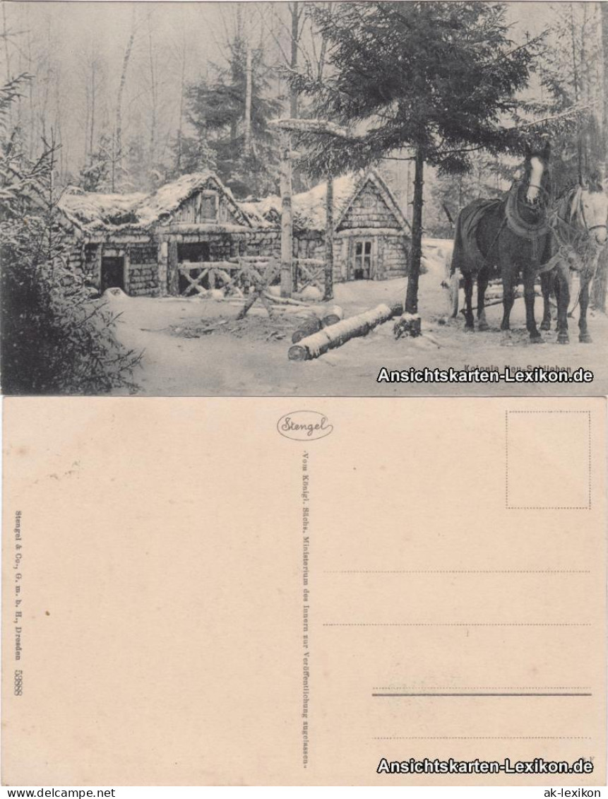 Ansichtskarte  Winterpartie - Kolonie Neu-Schlieben 1917  - A Identifier