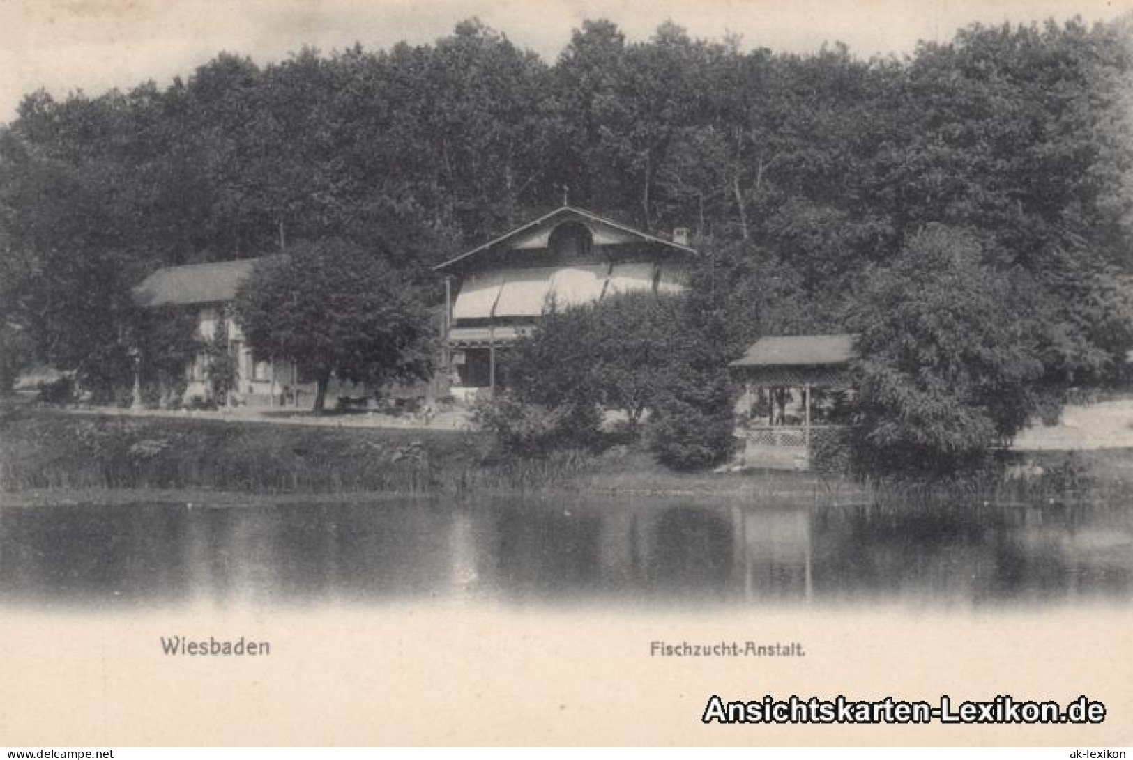Ansichtskarte Wiesbaden Fischzucht-Anstalt 1913  - Wiesbaden
