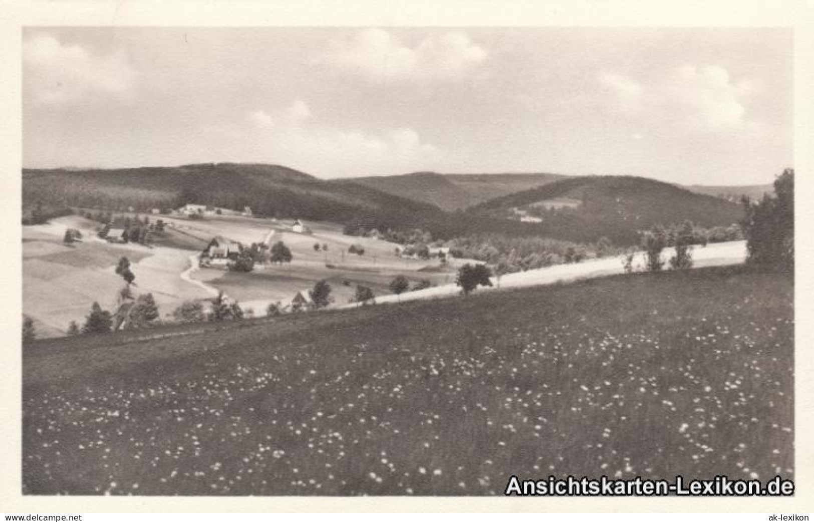 Ansichtskarte Schellerhau-Altenberg (Erzgebirge) Umlandpartie 1953 - Schellerhau