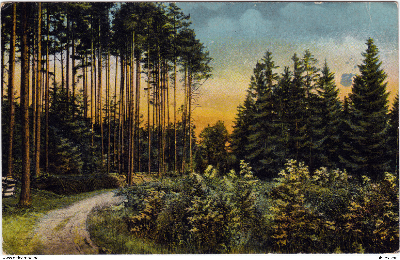 Ansichtskarte  Waldweg 1935 - Non Classés