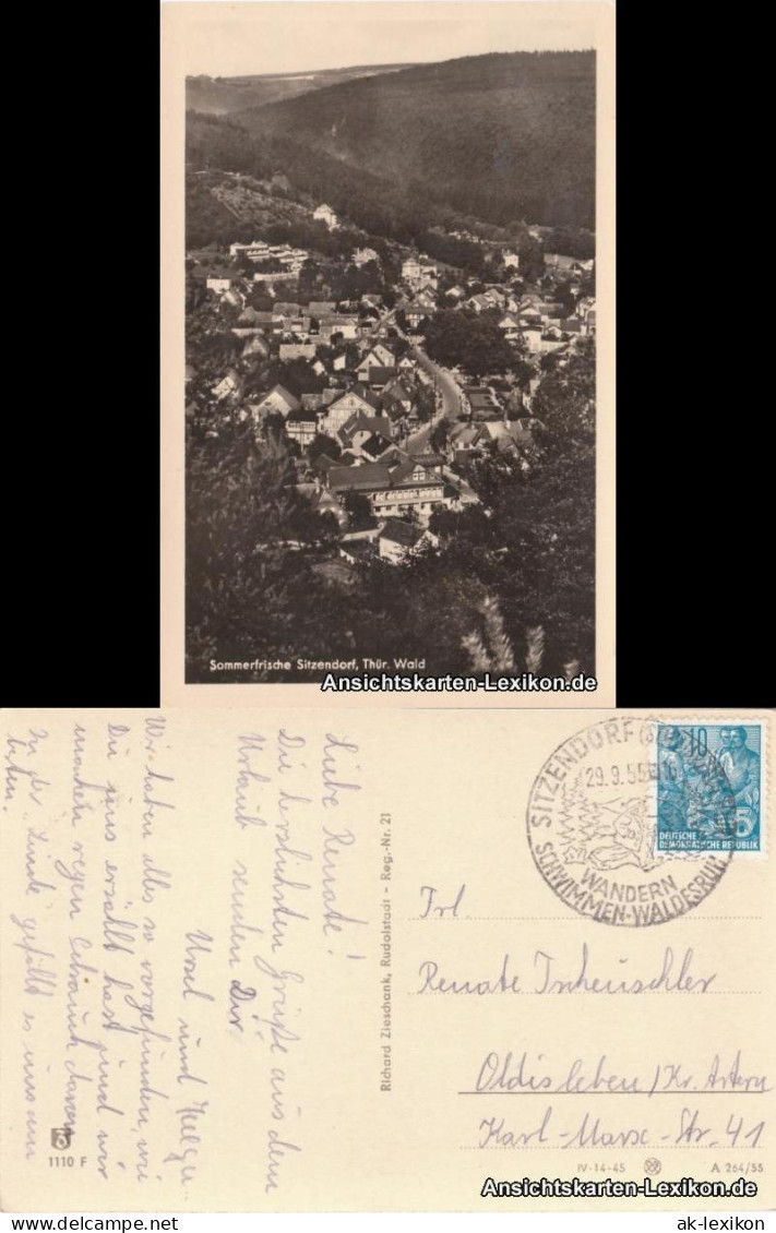 Ansichtskarte Sitzendorf Totalansicht 1955  - Other & Unclassified