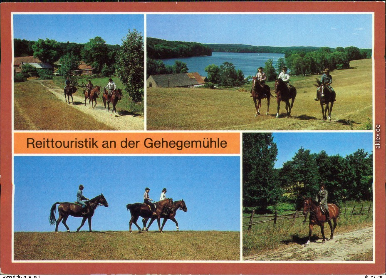 Angermünde Reittouristik An Der Gehegemühle Und Dem Umland 1985 - Sonstige & Ohne Zuordnung