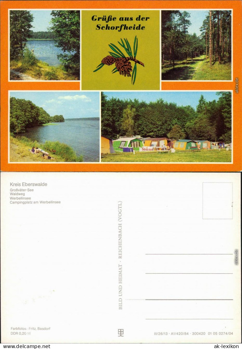 Schorfheide Großväter-See, Waldweg, Werbellinsee, Campingplatz Am  1984 - Sonstige & Ohne Zuordnung