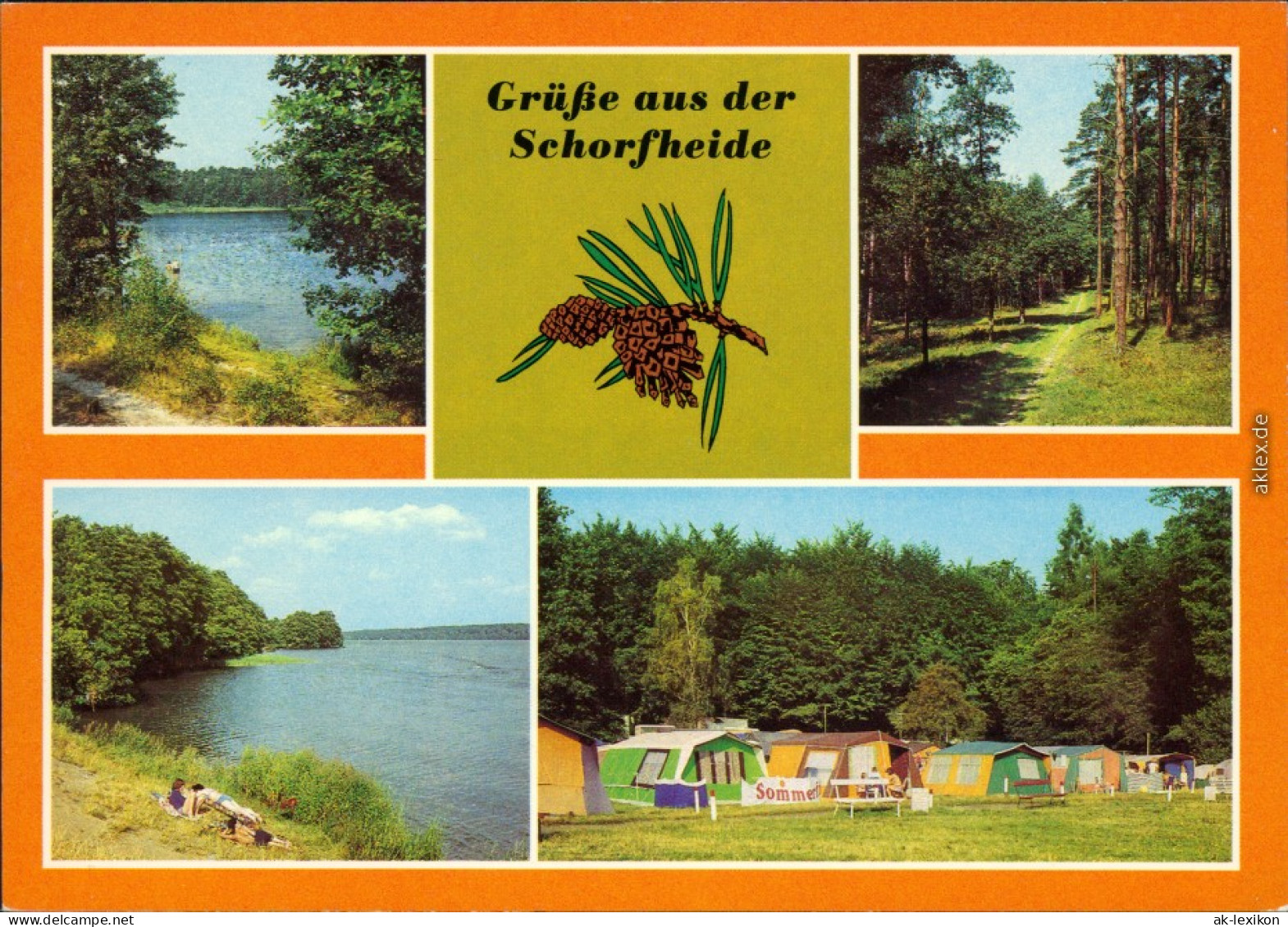 Schorfheide Großväter-See, Waldweg, Werbellinsee, Campingplatz Am  1984 - Sonstige & Ohne Zuordnung