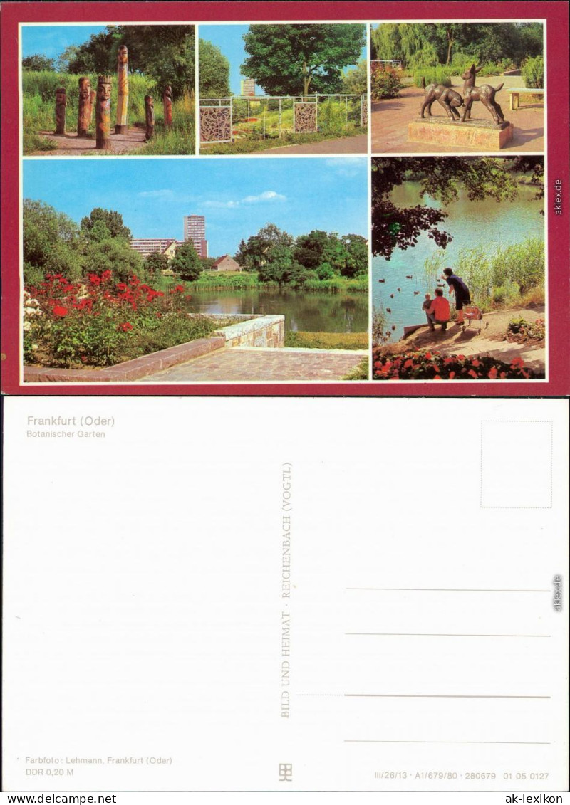 Frankfurt (Oder) Botanischer Garten -  Mit Teich Und Plastiken 1980 - Frankfurt A. D. Oder