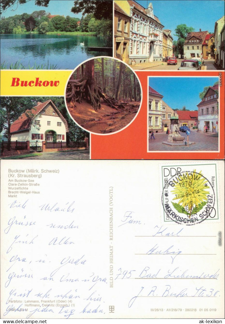 Buckow (Märkische Schweiz  Clara-Zetkin-Straße, Wurzelfichte,   1987 - Buckow