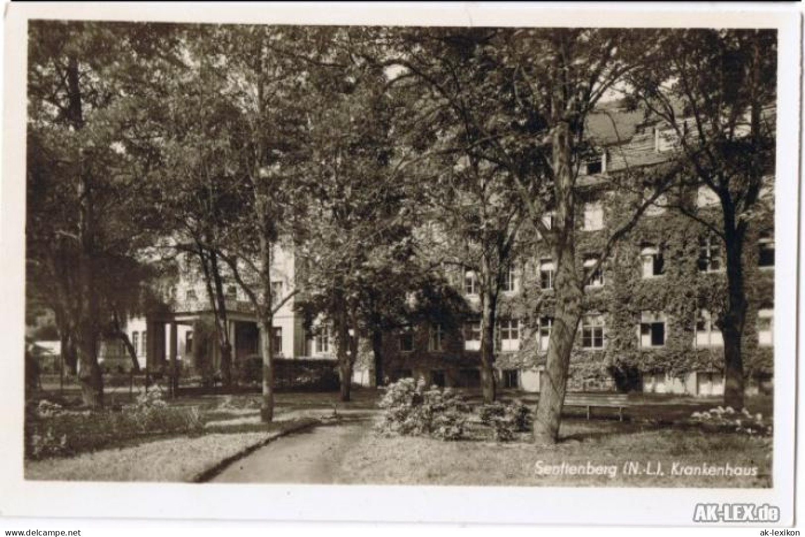 Ansichtskarte Senftenberg (Niederlausitz) Krankenhaus (Foto AK) 1953 - Senftenberg