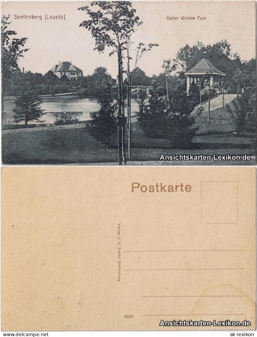 Ansichtskarte Senftenberg (Niederlausitz) Partie Im Kaiser Wilhelm Park 1920 - Senftenberg