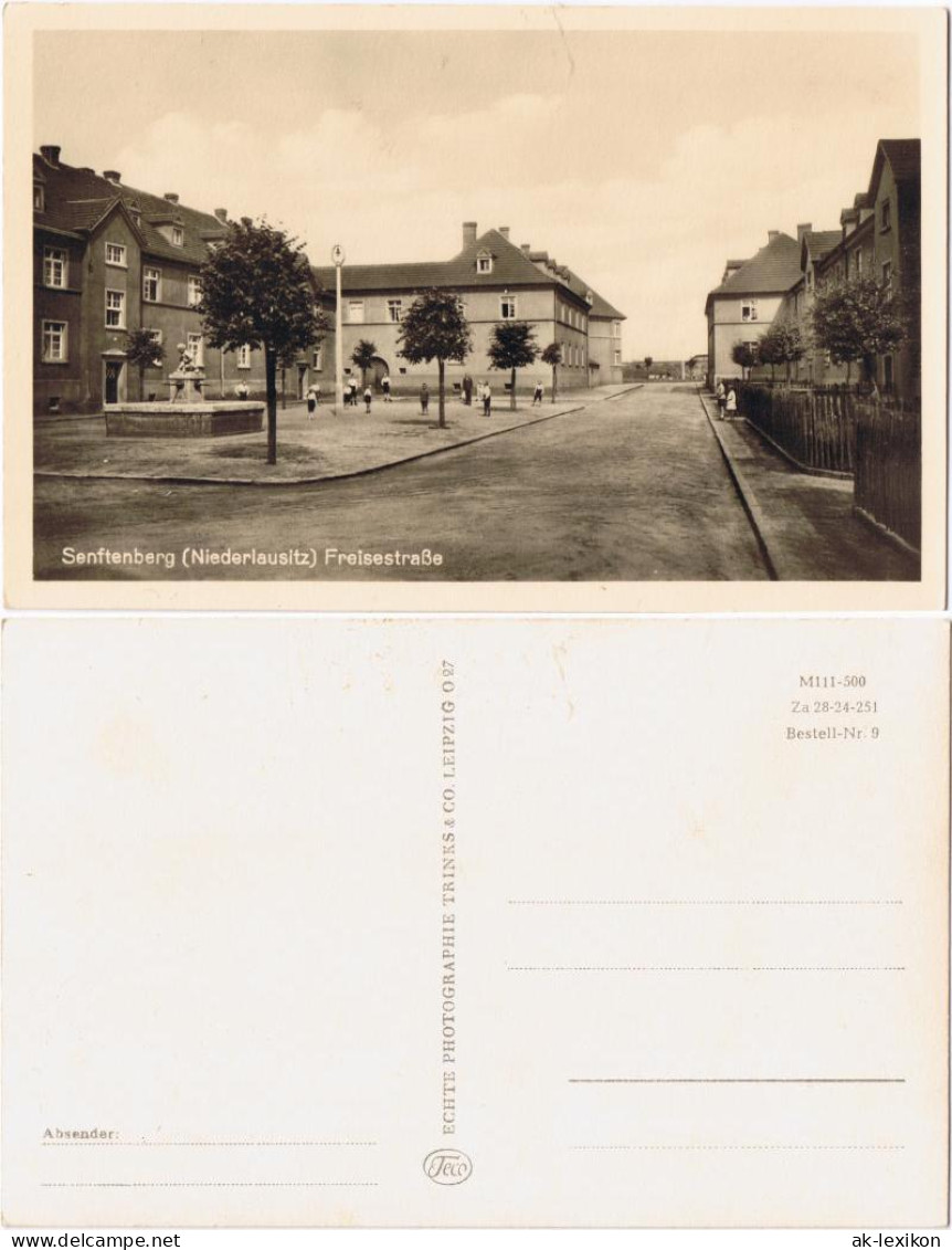 Ansichtskarte Senftenberg (Niederlausitz) Freisestraße 1936 - Senftenberg