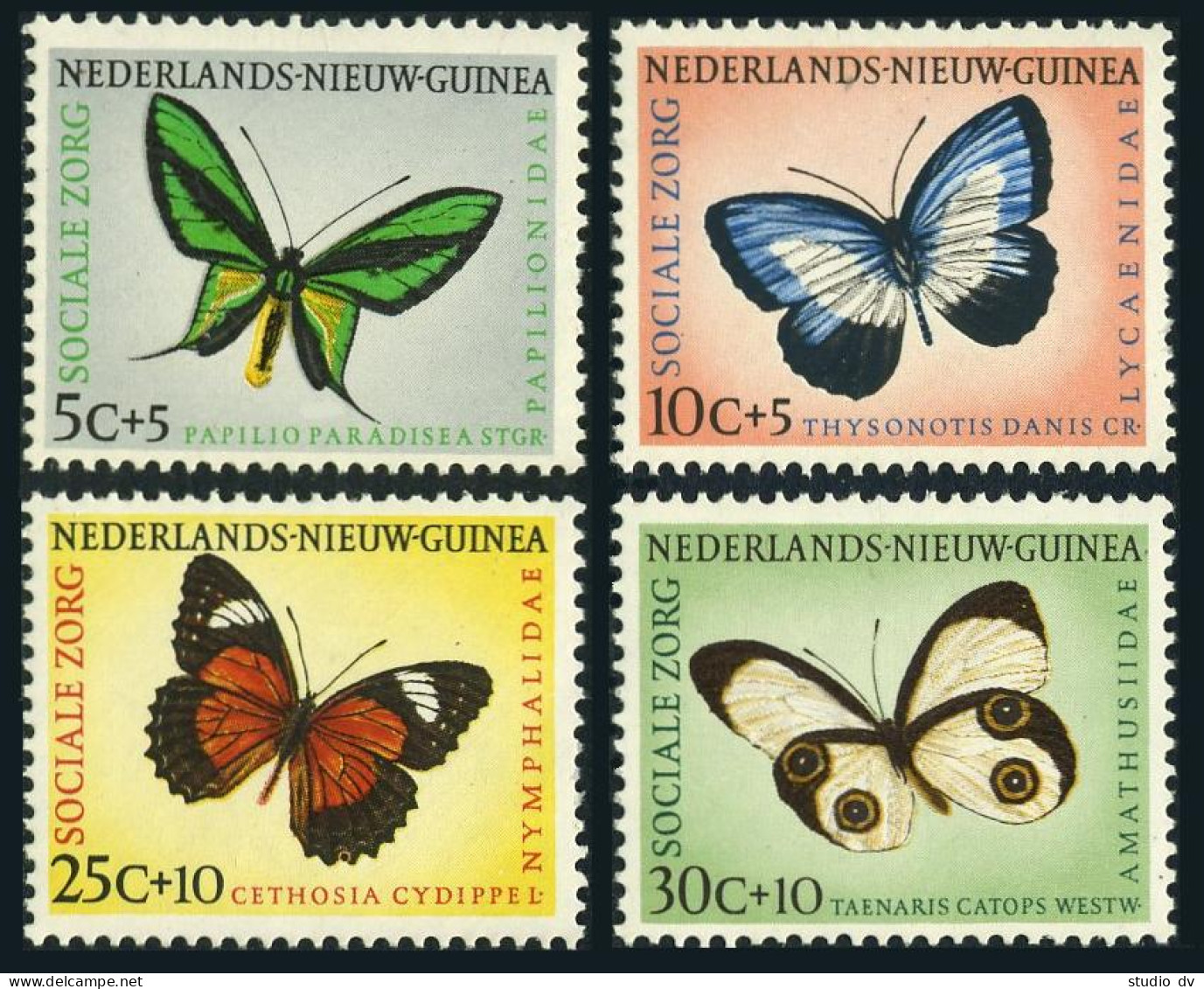 Neth New Guinea B23-B26, Lightly Hinged. Michel 63-66. Butterflies 1960. - Guinea (1958-...)