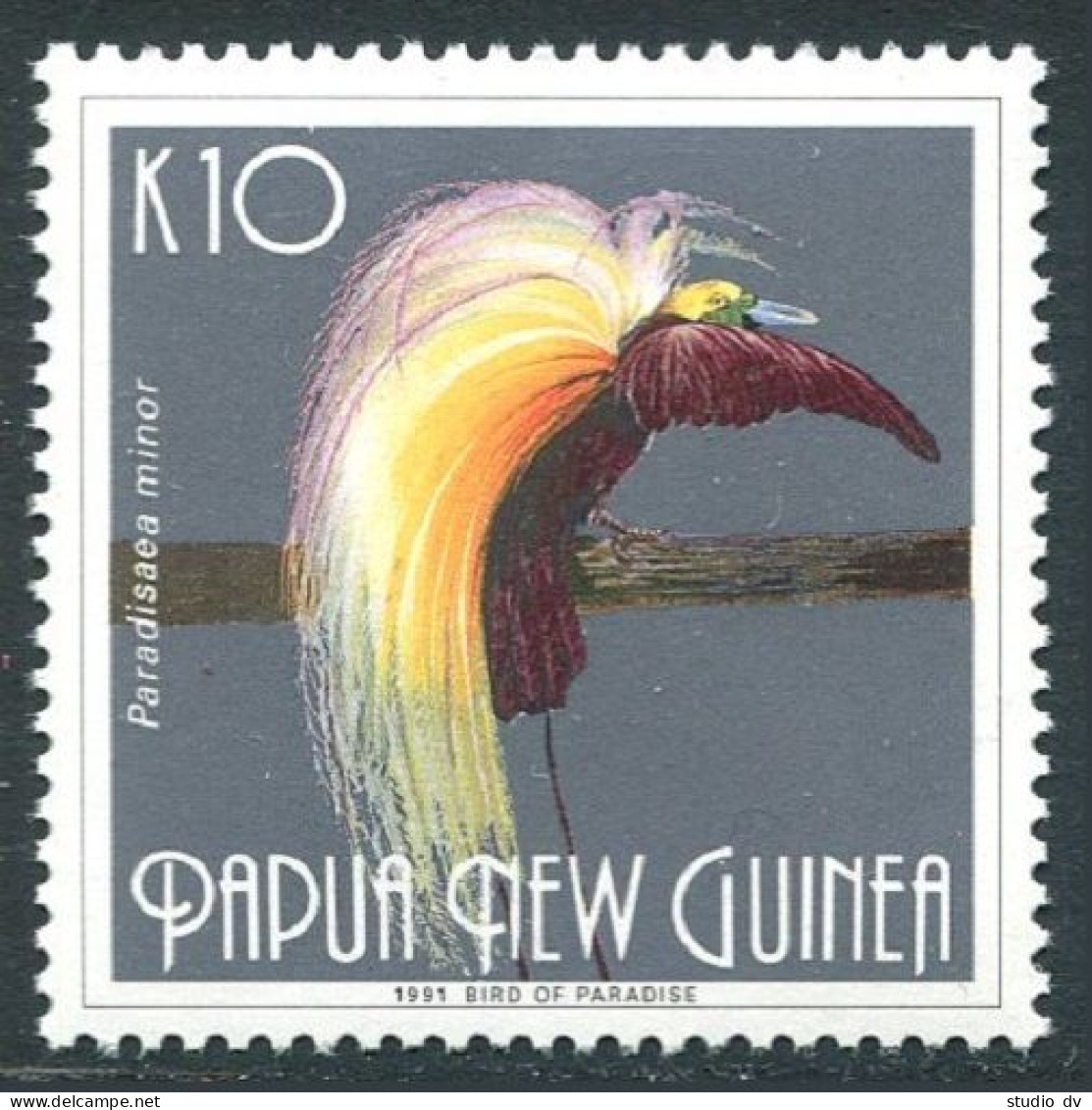 Papua New Guinea 769, MNH. Michel 635. Paradisaea Minor, 1991. - Guinea (1958-...)