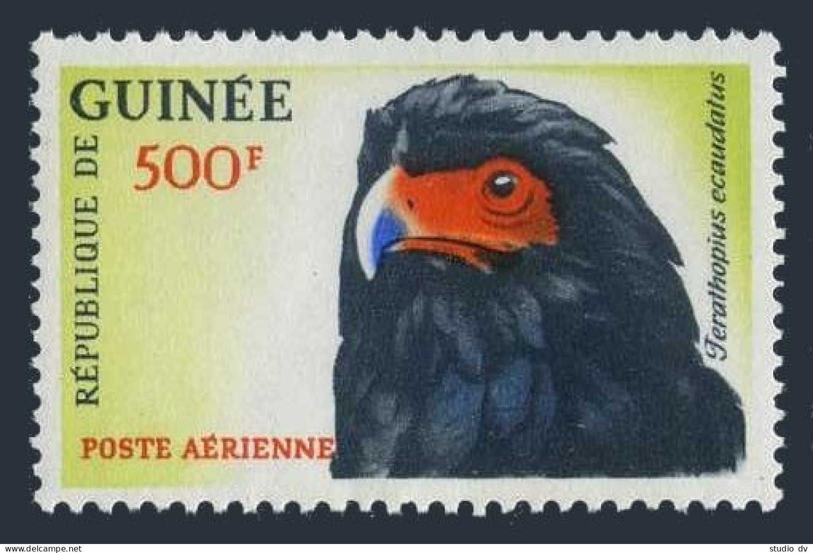 Guinea C43,MNH.Michel 163. Bateleur Eagle,1962. - Guinea (1958-...)