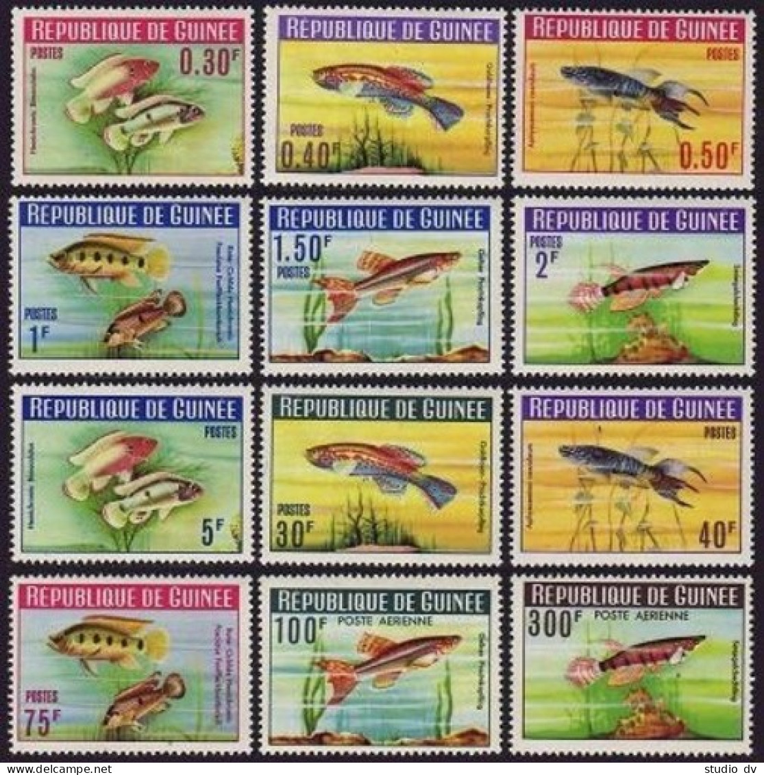 Guinea 315-324,C54-C55,MNH.Michel 214-225. Fish 1964. - Guinea (1958-...)