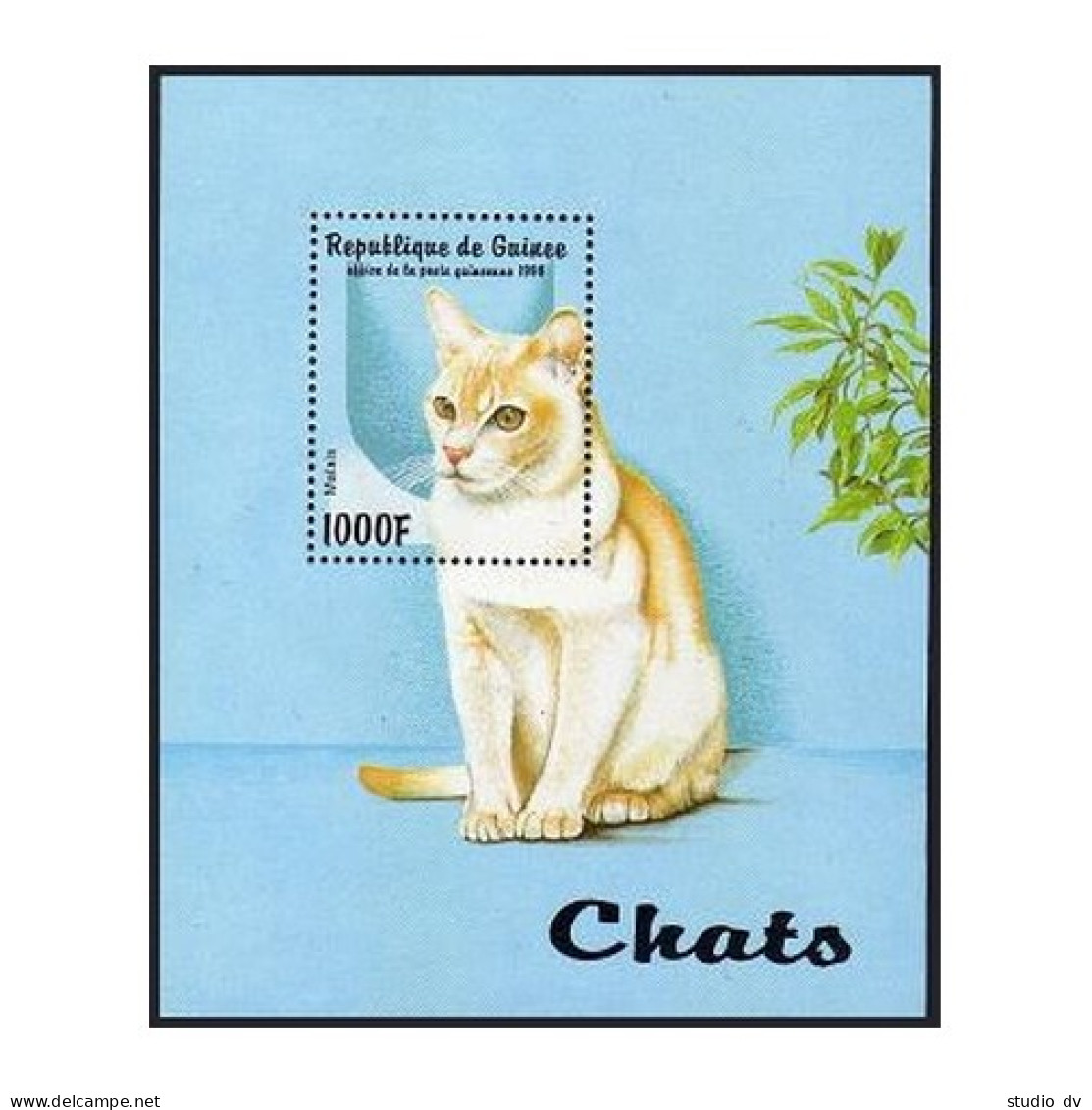 Guinea 1431-1436, 1437 Sheet, MNH. Domestic Cats, 1998. - Guinea (1958-...)