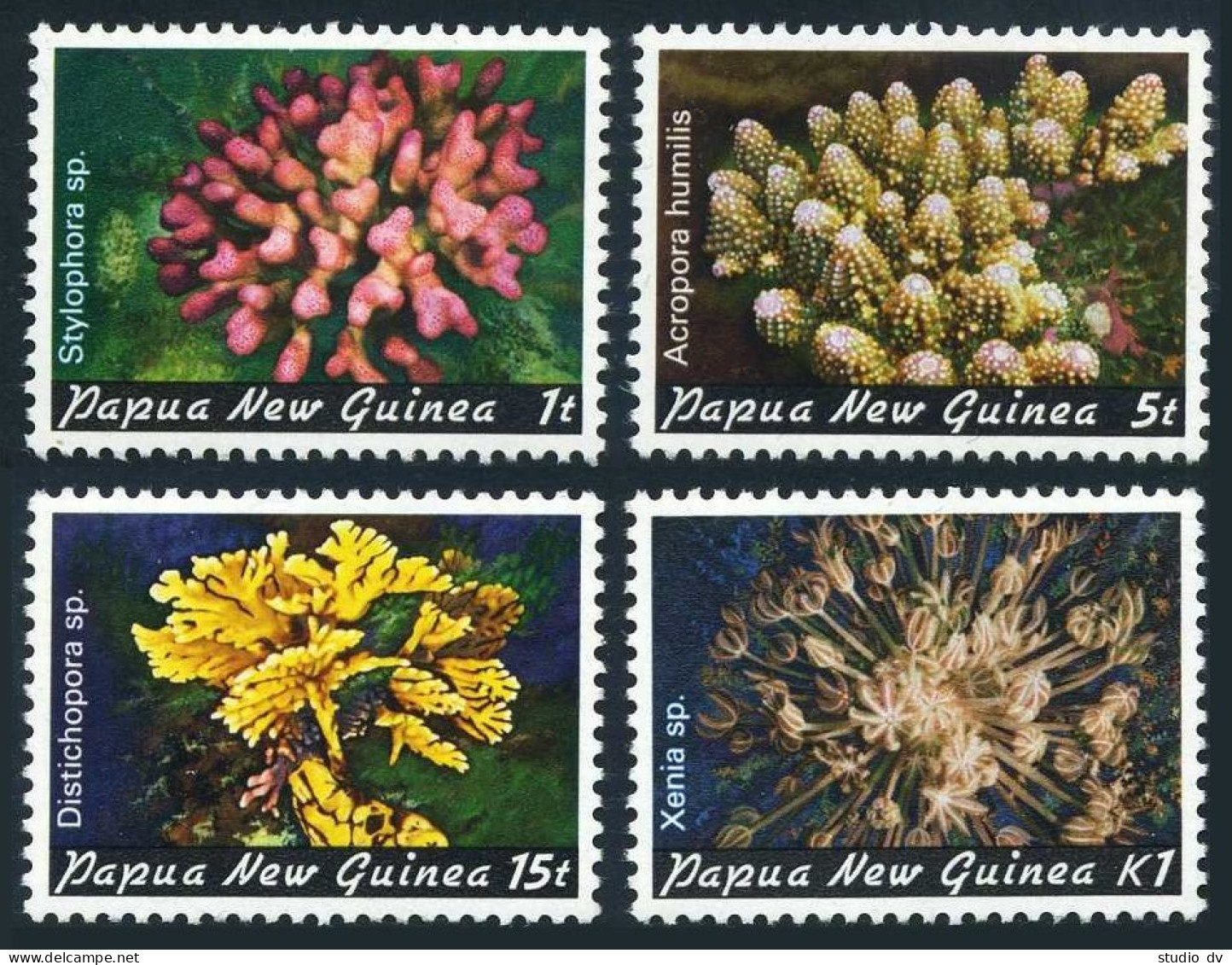 Papua New Guinea 566-569, MNH. Corals, 1982. - Guinea (1958-...)