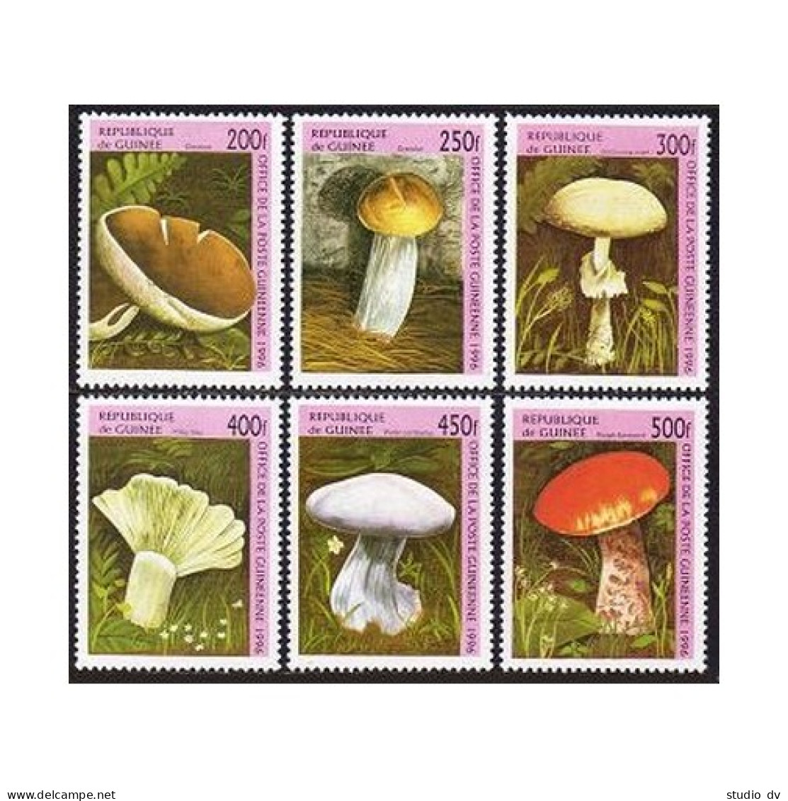Guinea 1347-1352, 1353, MNH. Mushrooms, 1996. - Guinea (1958-...)