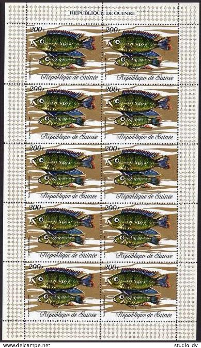 Guinea 570-581 Sheets Of 10,MNH.Michel 571-582. Various Fish Of Guinea,1971. - Guinea (1958-...)