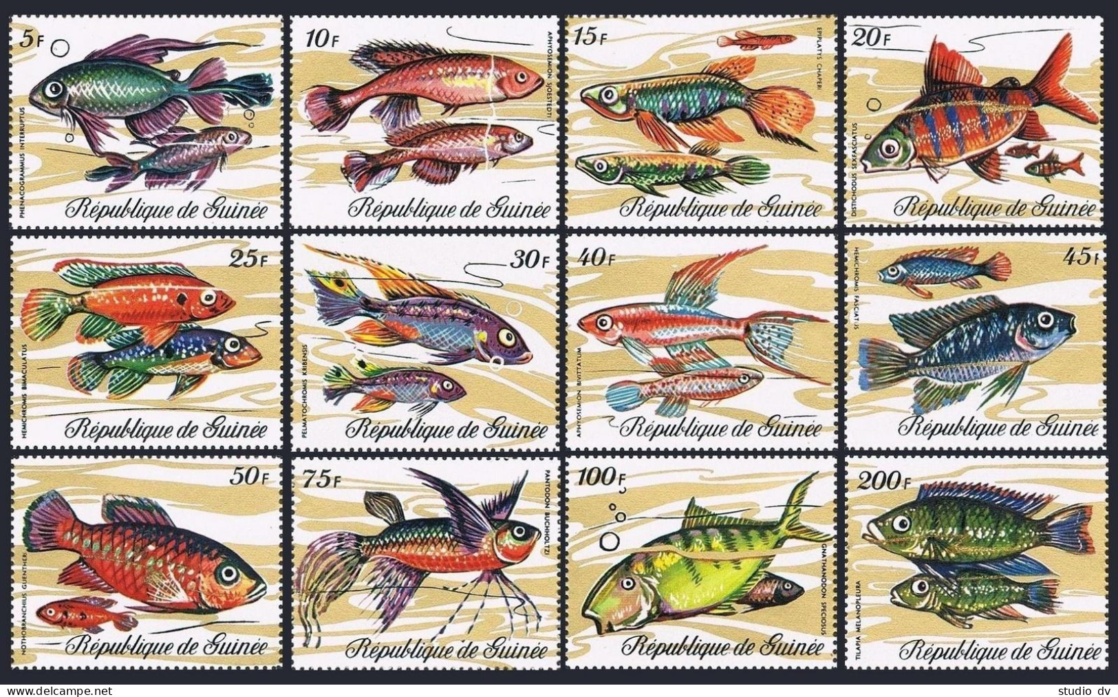 Guinea 570-581 Sheets Of 10,MNH.Michel 571-582. Various Fish Of Guinea,1971. - Guinea (1958-...)