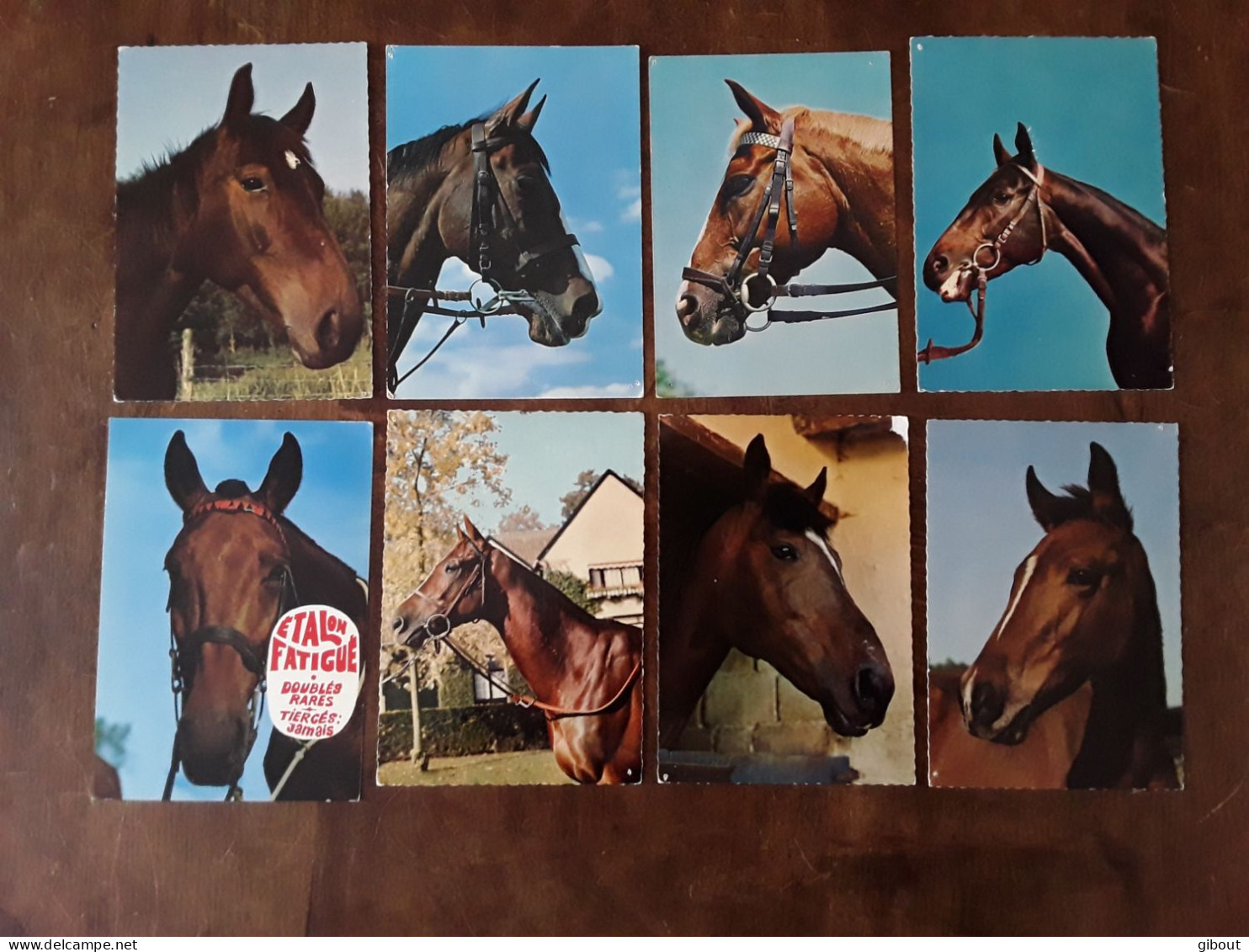 25 CARTES CHEVAUX - Horses