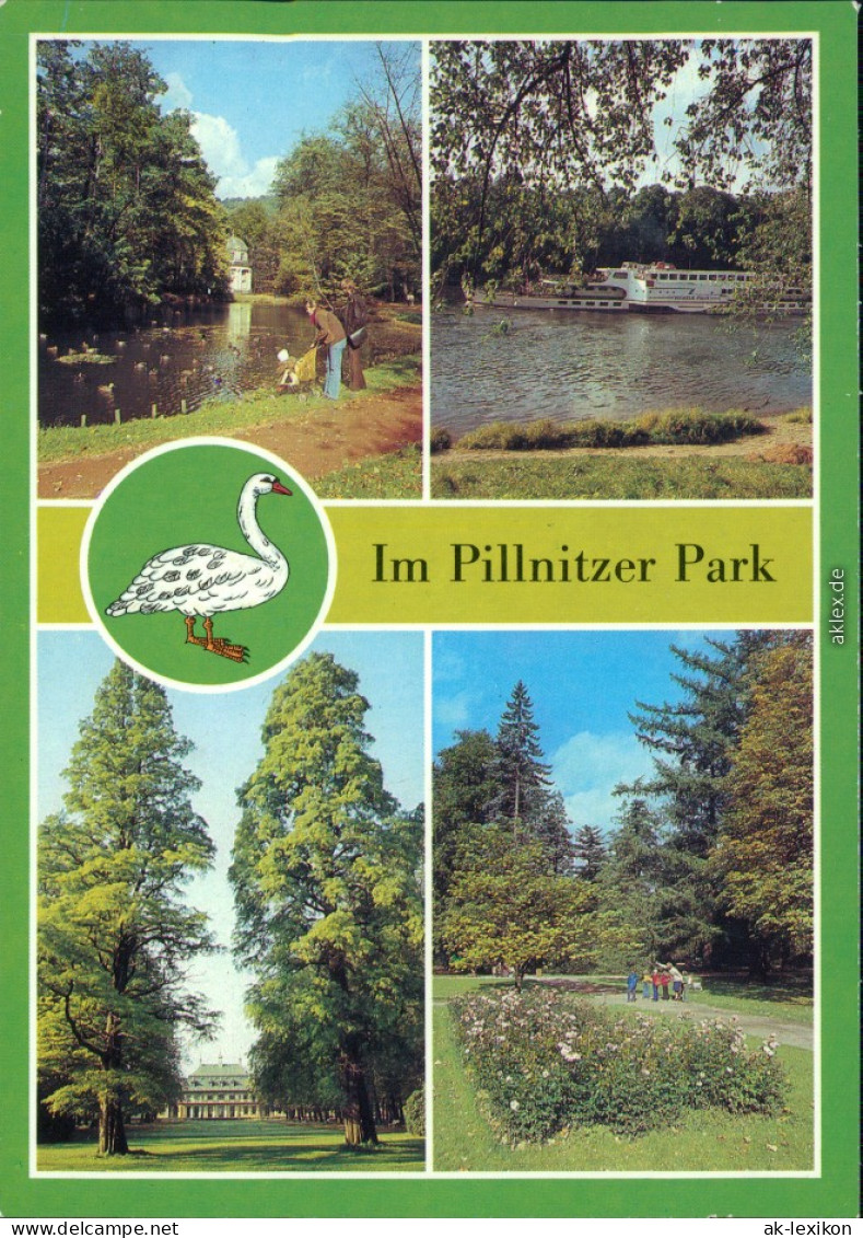 Pillnitz Schloss Pillnitz -Englischer Teich Und Pavillon  1985 - Pillnitz