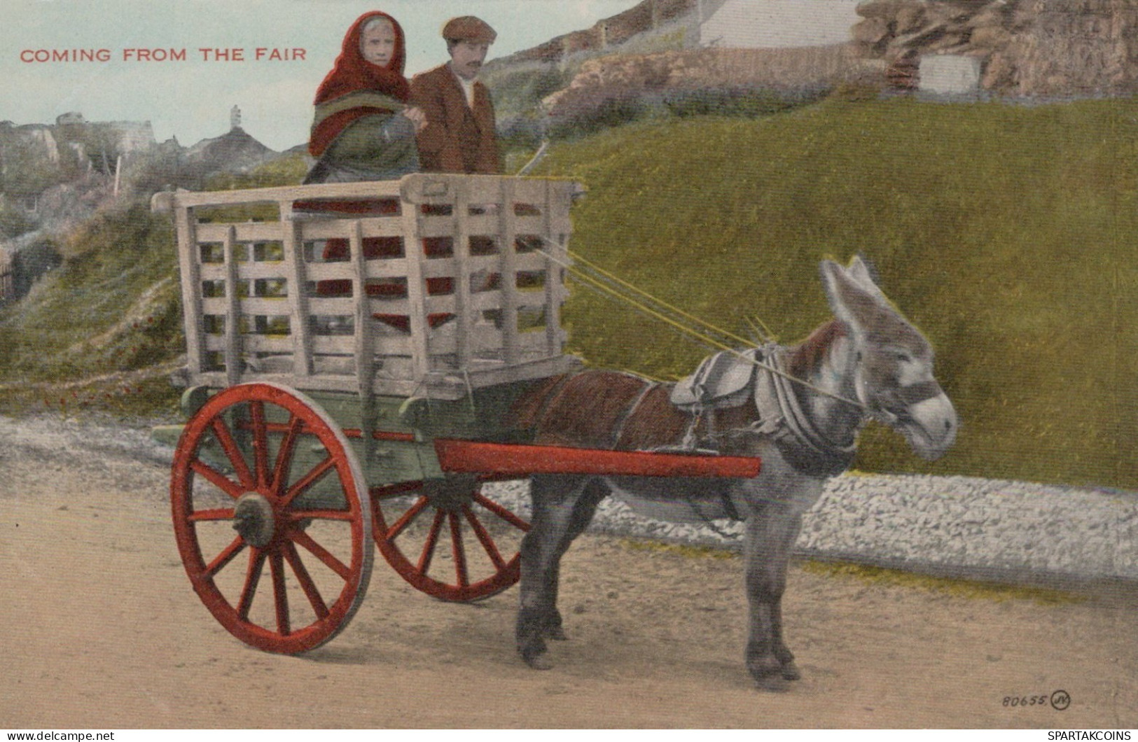 ESEL Tiere Vintage Antik Alt CPA Ansichtskarte Postkarte #PAA199.DE - Donkeys