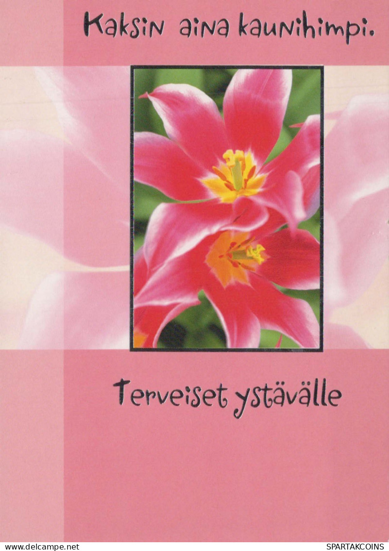 FLOWERS Vintage Ansichtskarte Postkarte CPSM #PBZ893.DE - Flowers