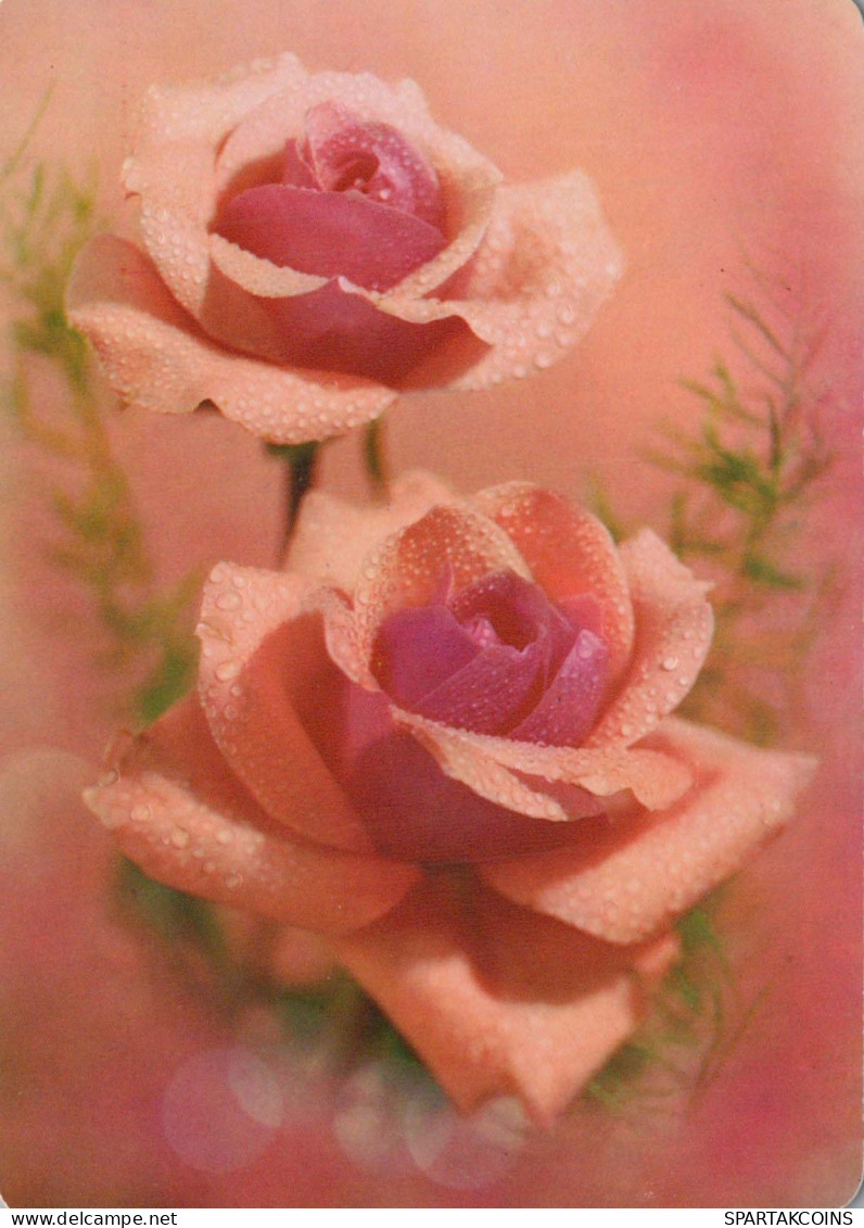 FLOWERS Vintage Ansichtskarte Postkarte CPSM #PBZ649.DE - Bloemen