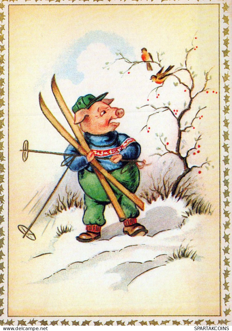 PIGS Tier Vintage Ansichtskarte Postkarte CPSM #PBR772.DE - Varkens