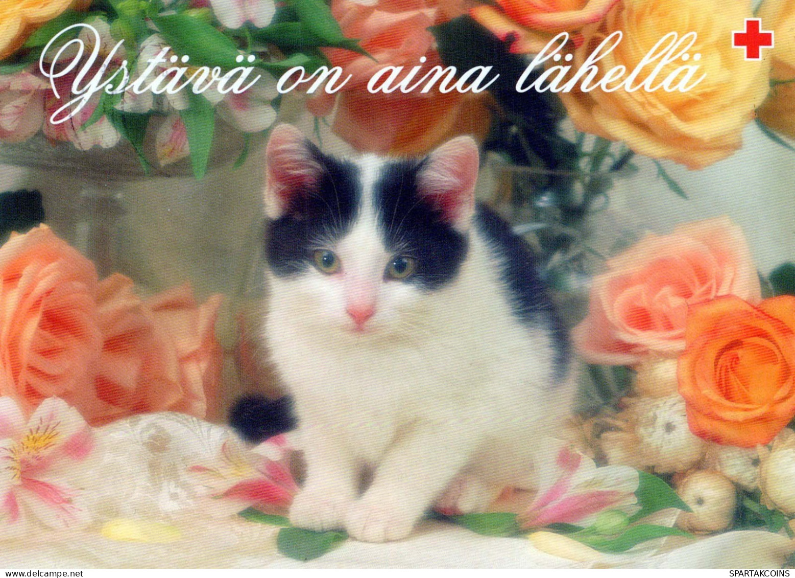 KATZE MIEZEKATZE Tier Vintage Ansichtskarte Postkarte CPSM #PBQ990.DE - Cats