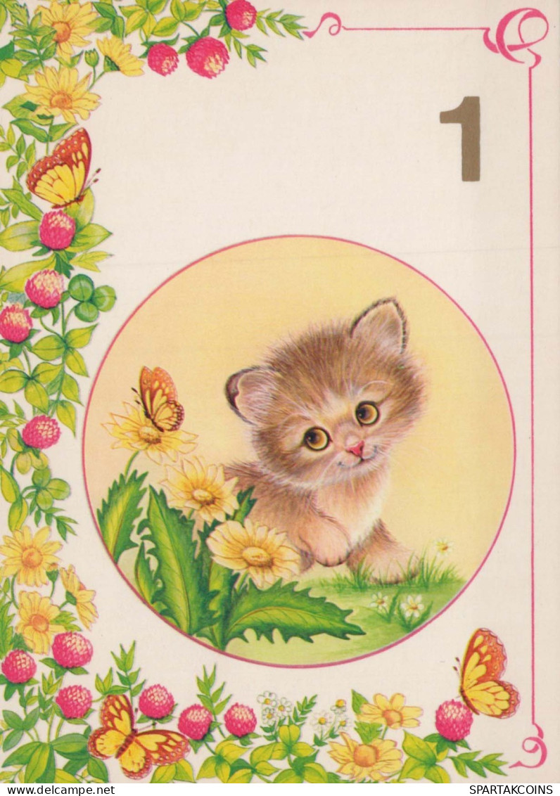 KATZE MIEZEKATZE Tier Vintage Ansichtskarte Postkarte CPSM #PBQ866.DE - Cats