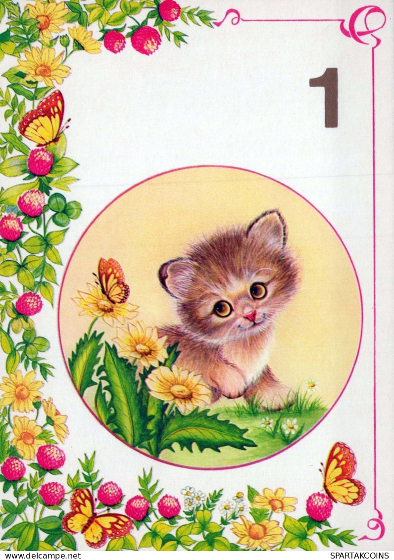 KATZE MIEZEKATZE Tier Vintage Ansichtskarte Postkarte CPSM #PBQ866.DE - Cats