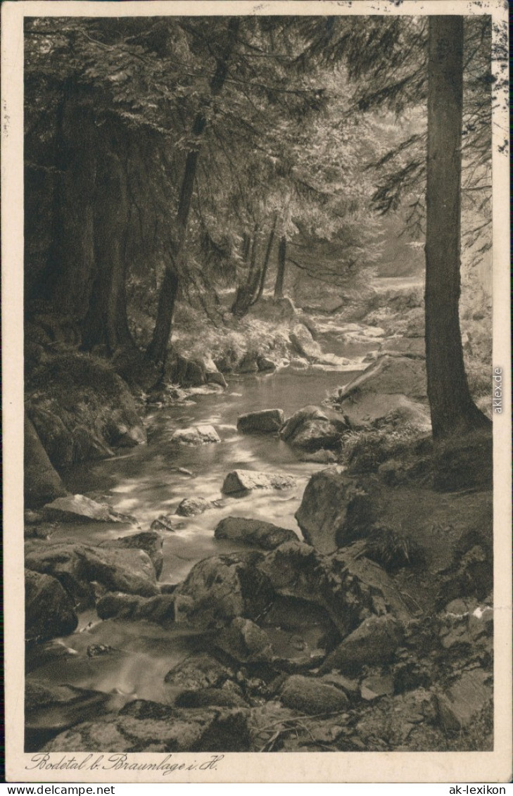 Ansichtskarte Braunlage Bodetal 1927 - Braunlage