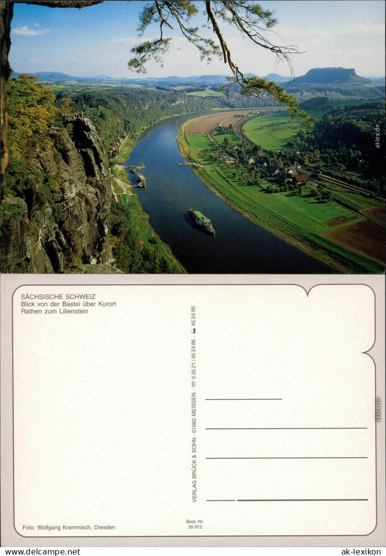 Ansichtskarte Rathen Panorama-Ansicht, Lilienstein 1995 - Bad Schandau