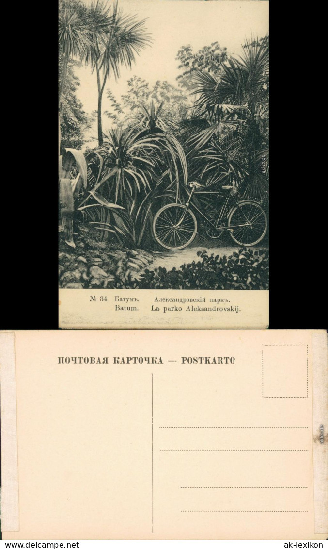 Batumi ბათუმი Батуми Parkanlage - Fahrrad In Den Palmen 1911 - Géorgie