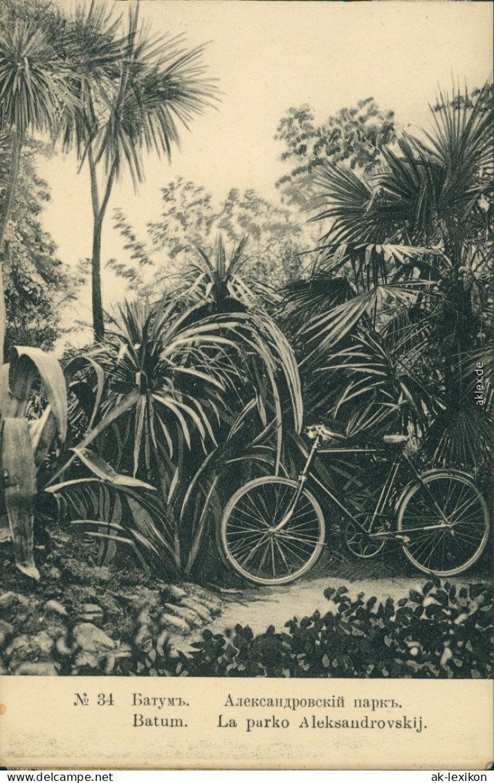 Batumi ბათუმი Батуми Parkanlage - Fahrrad In Den Palmen 1911 - Georgien