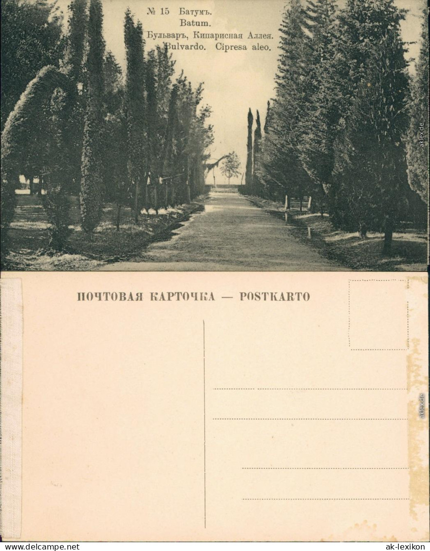 Ansichtskarte Batumi ბათუმი Батуми Parkanlage - Allee 1911 - Georgien