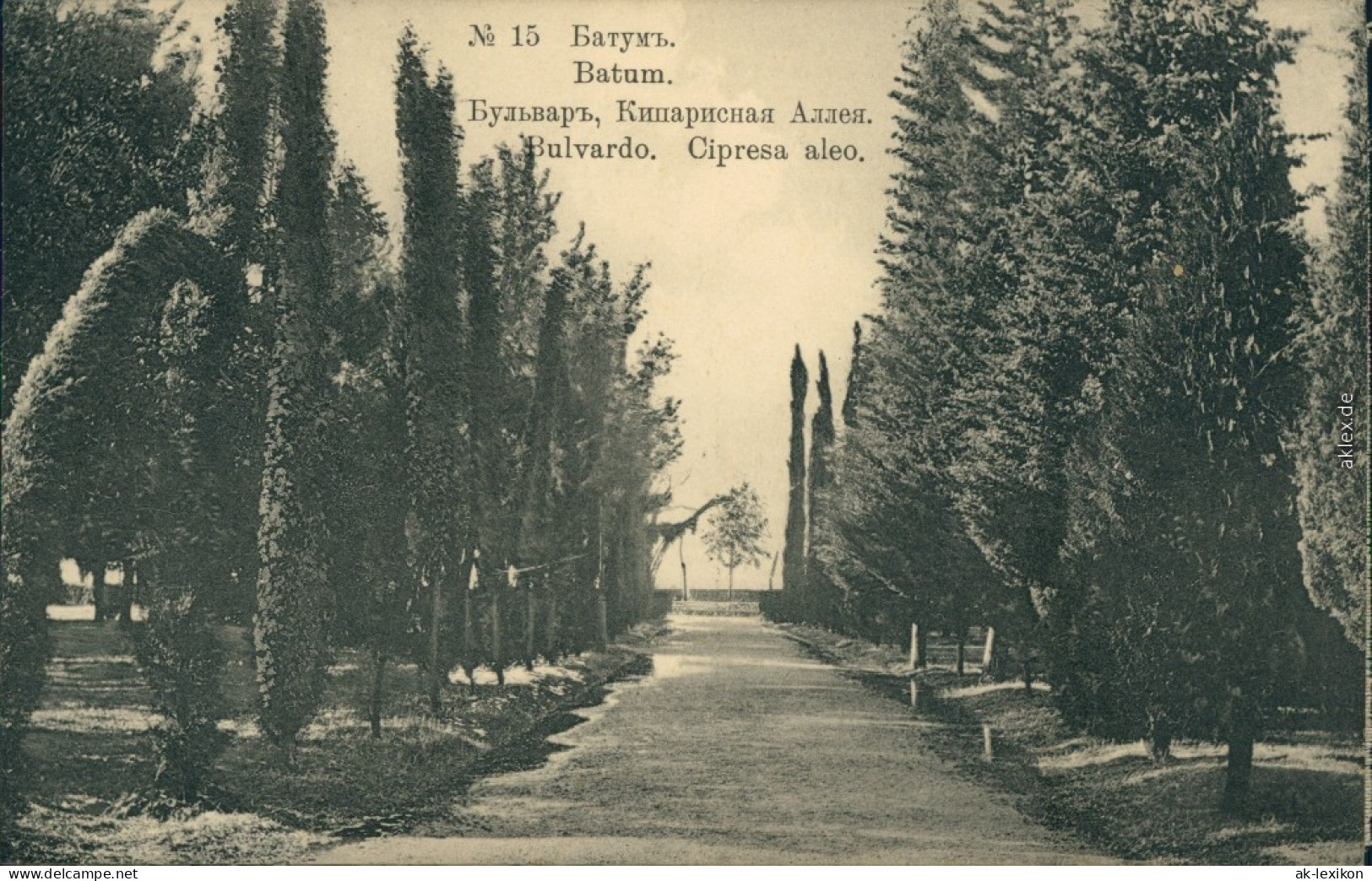 Ansichtskarte Batumi ბათუმი Батуми Parkanlage - Allee 1911 - Georgien