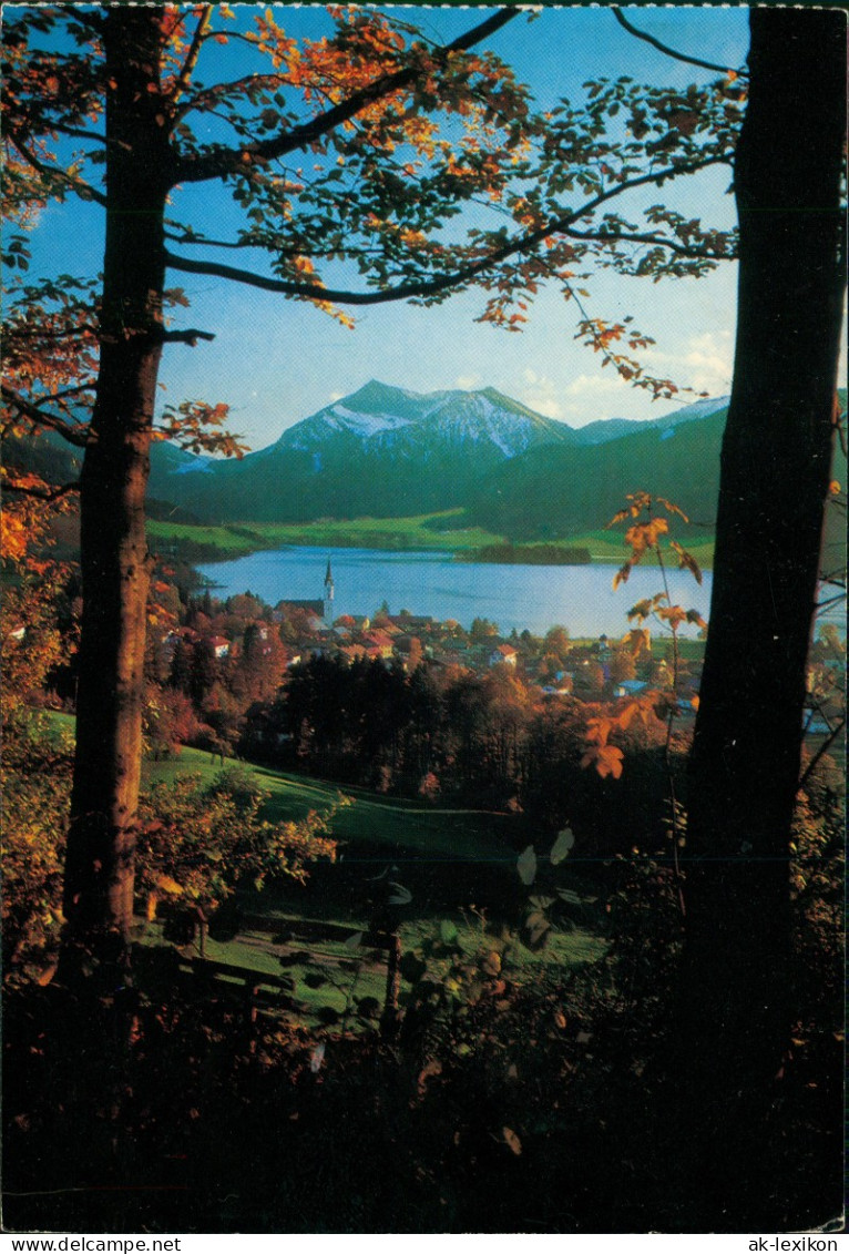 Ansichtskarte Schliersee Stadt, Brecherspitze 1988 - Schliersee