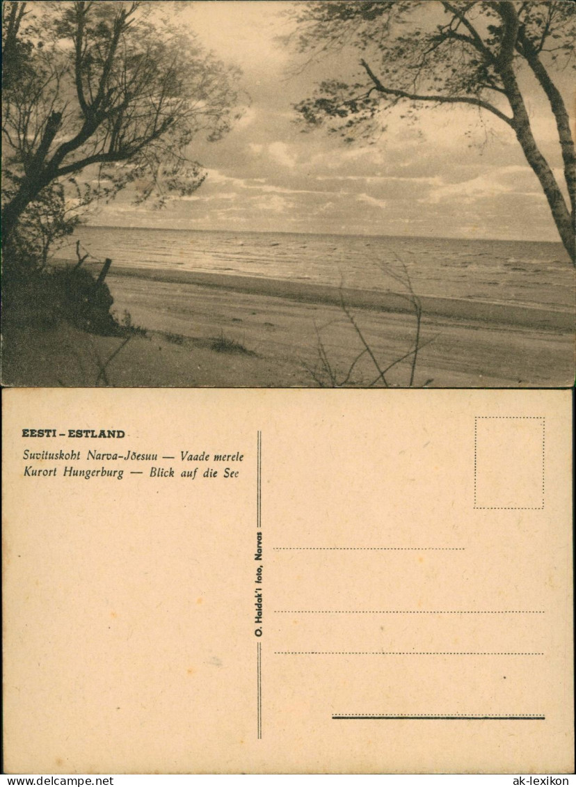 Postcard Narwa Narva Suvituskoht Narva-Jõesuu Meerblick Eesti 1926 - Estonie