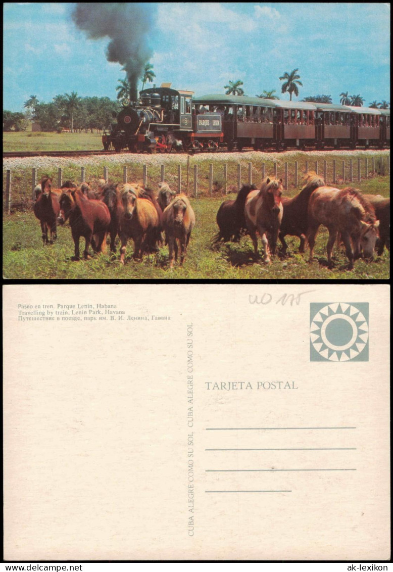 Kuba Allgemein Travelling By Train, Lenin Park, Havana Paseo En Tren. Parque Lenin, Habana 1970 - Cuba